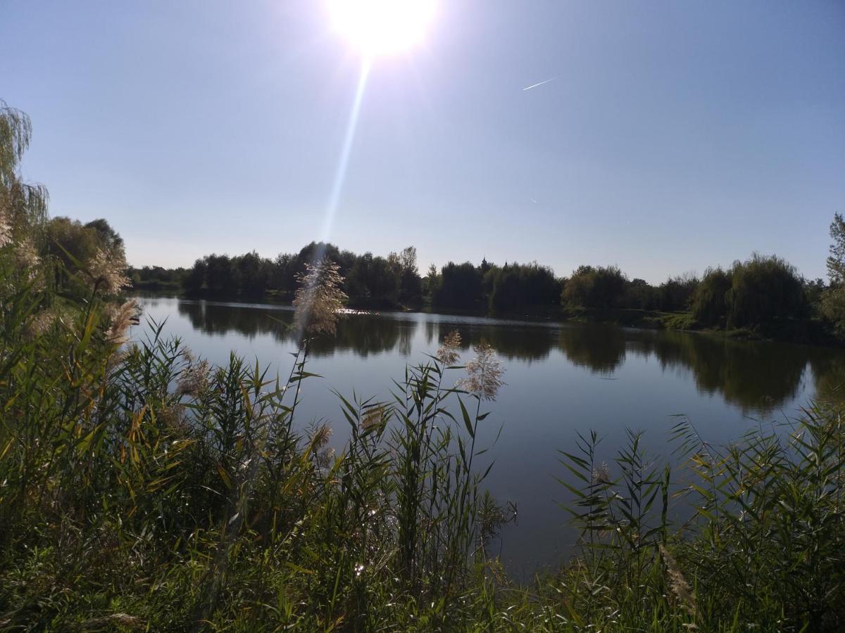 Bed and Breakfast Kisdiofa Panzio Es Vendeglo Vajdácska Zewnętrze zdjęcie