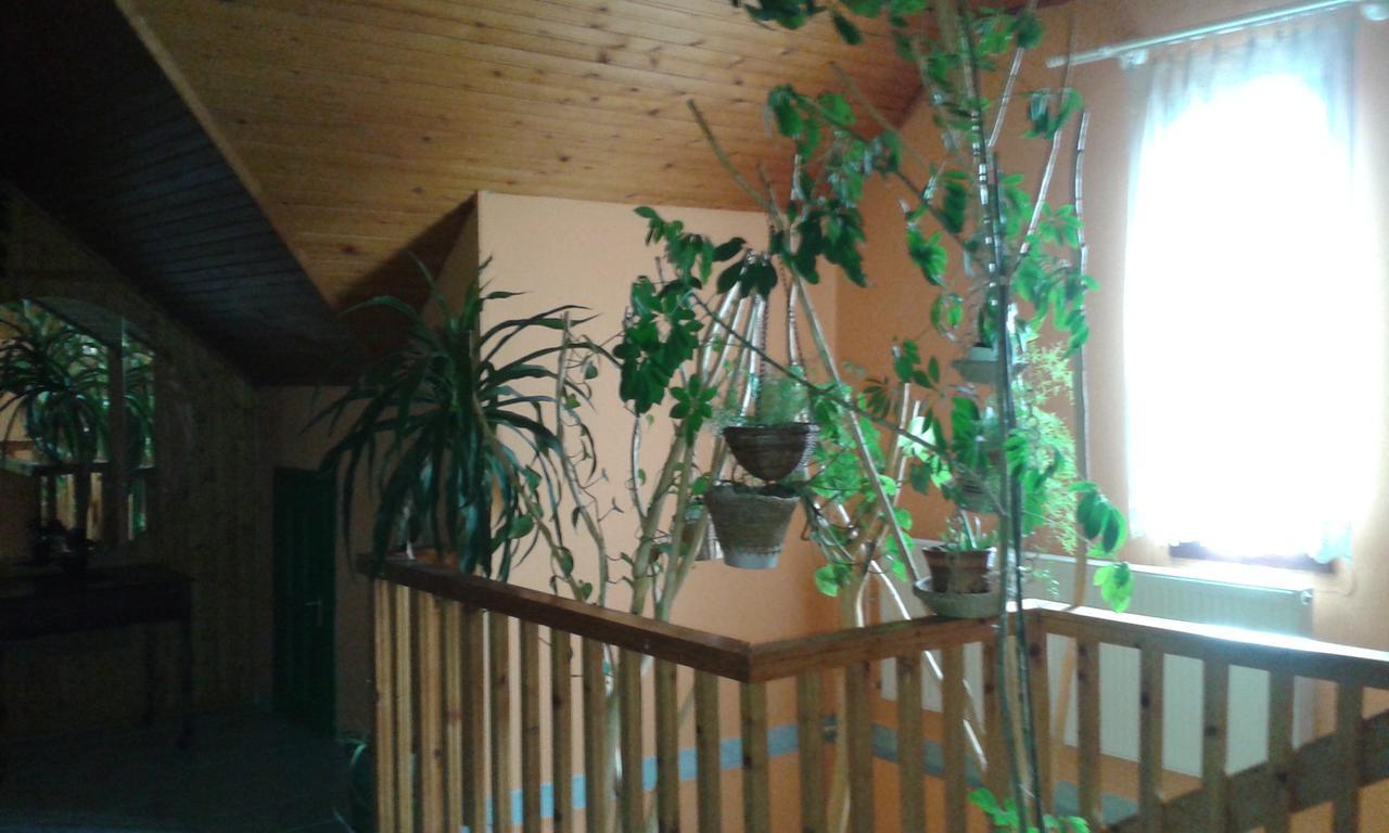 Bed and Breakfast Kisdiofa Panzio Es Vendeglo Vajdácska Zewnętrze zdjęcie